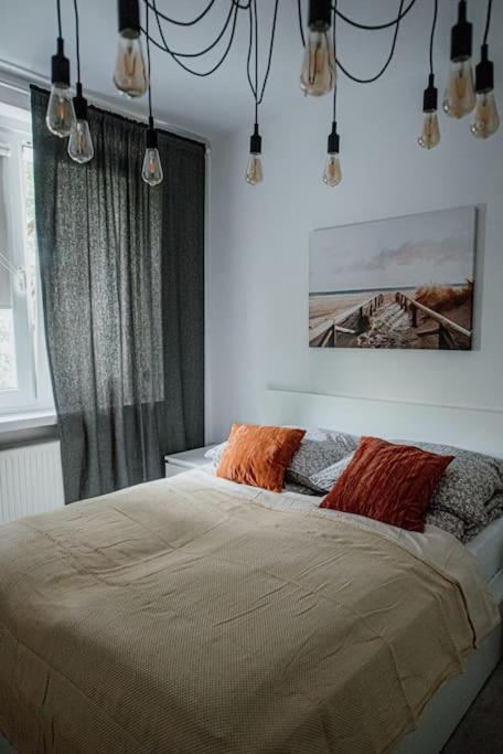 Apartment Manufaktura & Orientarium - Quiet App & Parking *